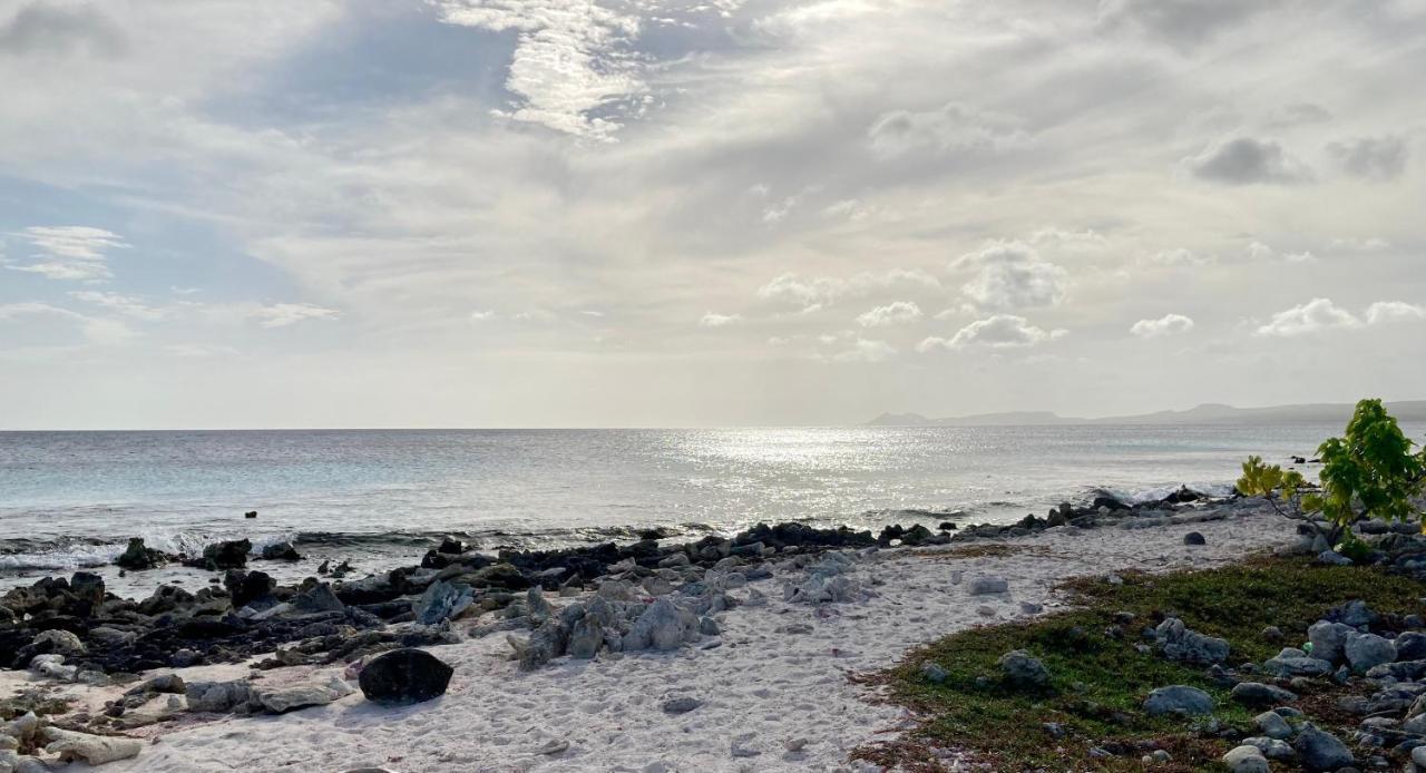 Hakuna Matata Bonaire - Beach & Diving Kralendijk  Exterior photo